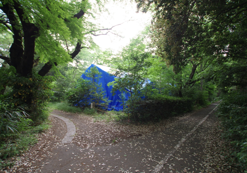 深い森の中のブルーシートは、切り妻屋根の悲しい「住まい」