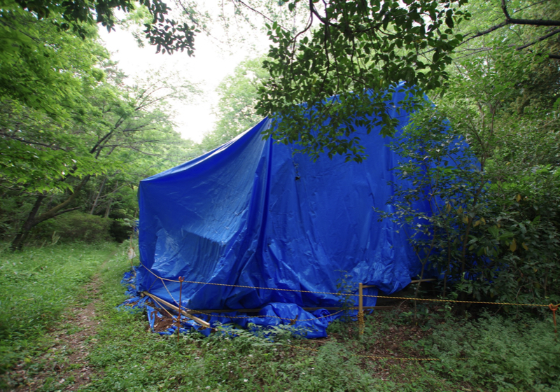 深い森の中のブルーシートは、切り妻屋根の悲しい「住まい」