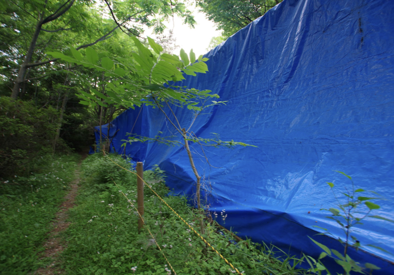 深い森の中のブルーシートは、切り妻屋根の悲しい「住まい」